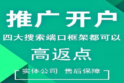 百度SEO推广案例：优化策略与效果对比